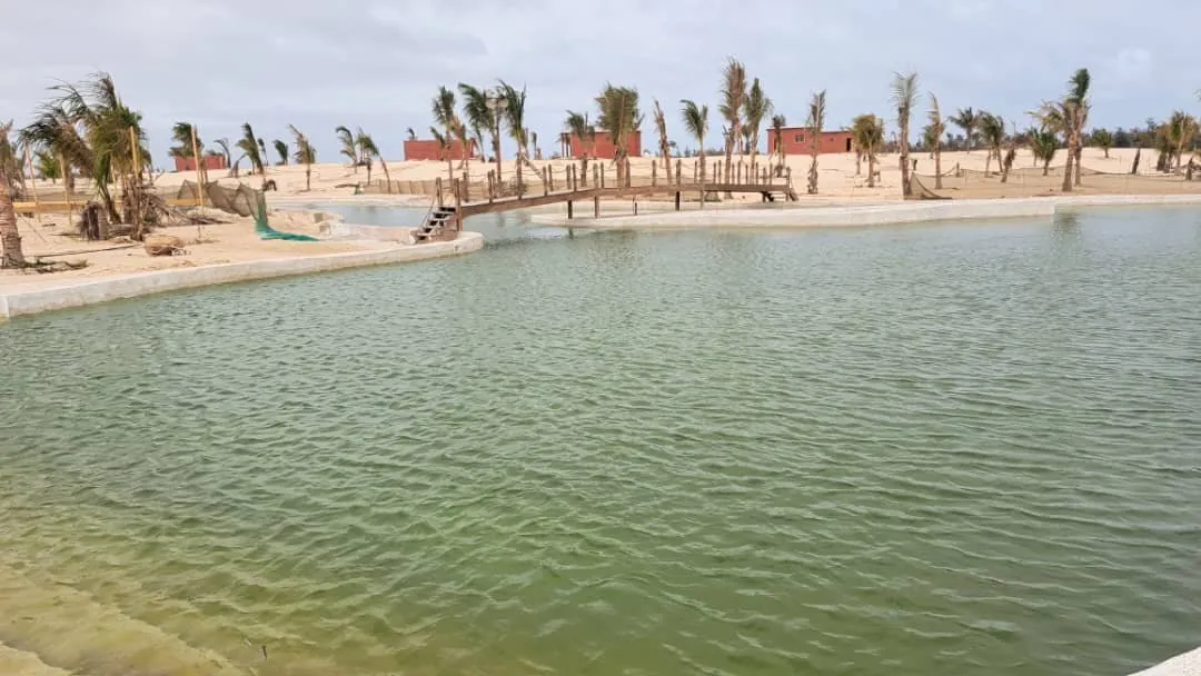 Lagune remplie d'eau avec passerelle en bois, palmiers et bâtiments ocre au fond