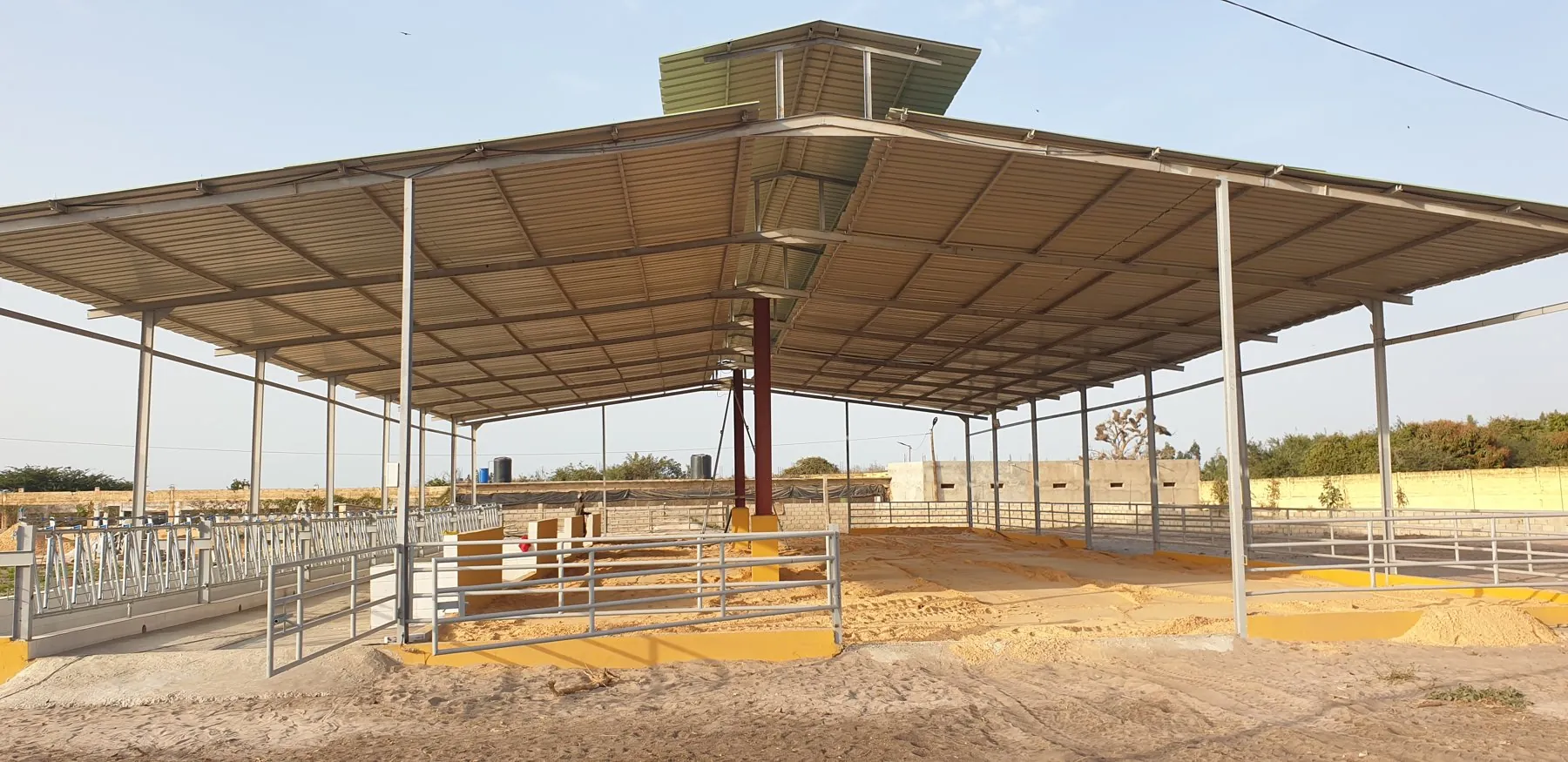Abri d'élevage bovin terminé : structure acier, litière de sable et barrière d'alimentation