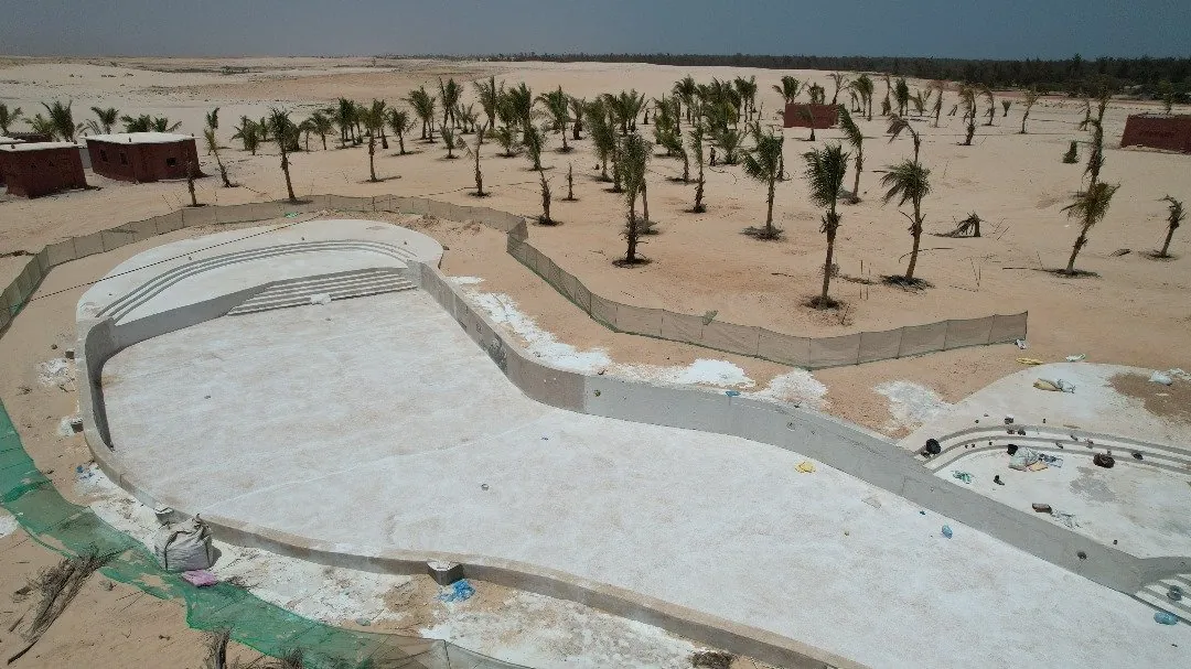 Vue aérienne d'un bassin béton en forme libre entouré de palmiers plantés